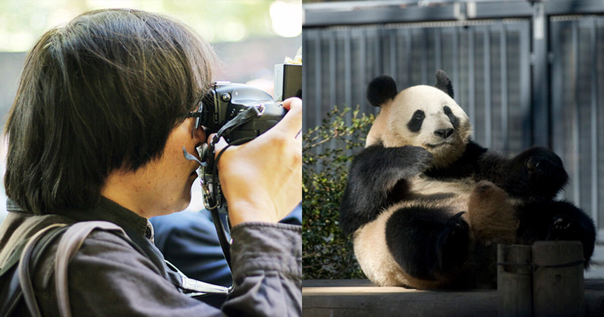 パンダに１日５時間！８年間毎日上野動物園に通ったマークアップエンジニアの偏愛がスゴイ