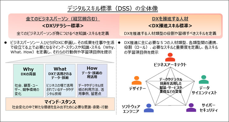 デジタルスキル標準　DSS 図解一覧