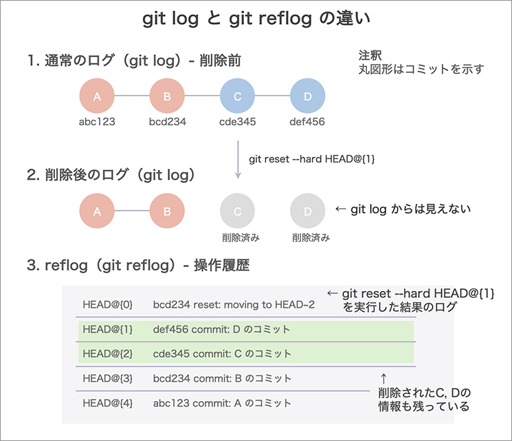 現在のブランチから辿れる履歴を表示するgit logと、ローカルでのHEAD移動の全履歴を記録するgit reflogの違いの比較図。reset --hardで消失したように見えるコミットID（DやC）がreflogには残っており、そこからデータを復元可能であることを示す技術図解