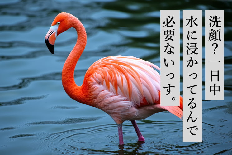 「1.水だけ洗顔アニマル」のタイトルと、水面に立つフラミンゴの画像。画像右側には「洗顔？一日中 水に浸かってるんで 必要ないっす。」という、福タロー氏の記事で定義された、洗顔料を使わずに水だけで顔面のログを消そうとする「古代文明」アニマルの心理を象徴するフレーズが添えられている
