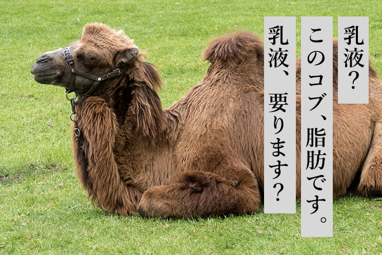 「2.化粧水だけで完結アニマル」の見出しと、草原に座り込むラクダの姿。「乳液？このコブ、脂肪です。乳液、要ります？」というテキストが添えられ、メンズ美容家・福タロー氏が提唱する、化粧水のみで乳液やクリームの保湿フタを怠り水分を蒸発させてしまう30代・40代男性エンジニアのスキンケア課題を風刺的に表現している。