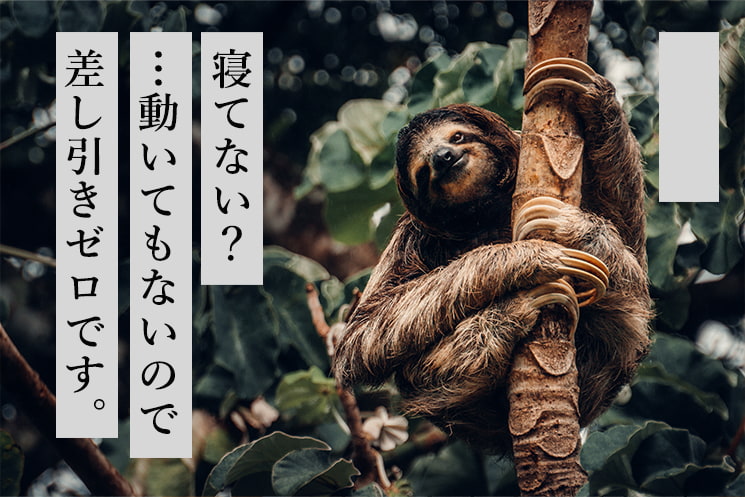 「4.睡眠不足ゾンビアニマル」の見出しと、木にしがみついてじっとしているナマケモノの姿。「寝てない？ …動いてもいないので 差し引きゼロです。」というテキストが添えられ、メンズ美容家・福タロー氏が解説する、どれだけ高級なスキンケアをしても深夜におよび睡眠を削ることで顔面のCI/CDサイクル（ターンオーバー）を停滞させてしまう30代・40代男性エンジニアの生活習慣課題を表現している。