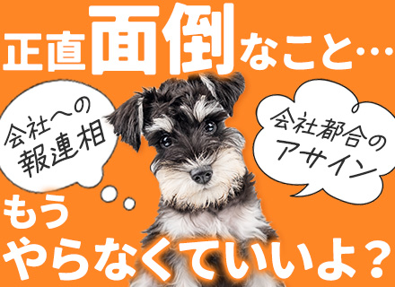 開発エンジニア／月収33万～／リモート可／残業10時間以下／応募資格満たす方は全員面接／Web面接1回