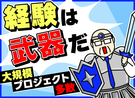 インフラエンジニア/官公庁プロジェクト有/残業10h以内/フレックス有/40～50代多数活躍/残業代全額支給