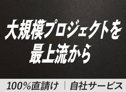 SE/自社開発/ERPパッケージ/世界16カ国で特許取得の技術力/最上流～下流まで一気通貫/年収750万円可