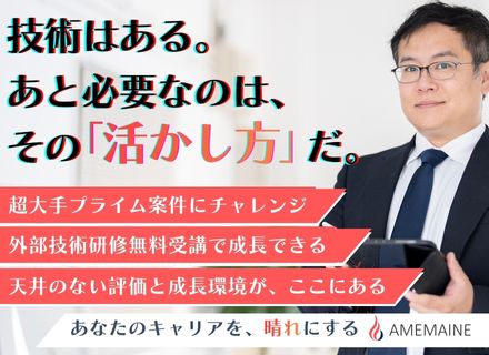 インフラエンジニア（PM・PL／ITアーキテクト候補）/超大手案件/リモート・在宅可/前給保証/月給38万円～