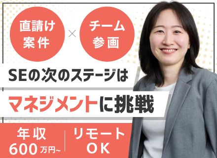 SE（PM・PMO・PL候補）｜直請け7割で上流から参画｜1〜2年でリーダーに育成｜チーム体制｜ベテランも歓迎