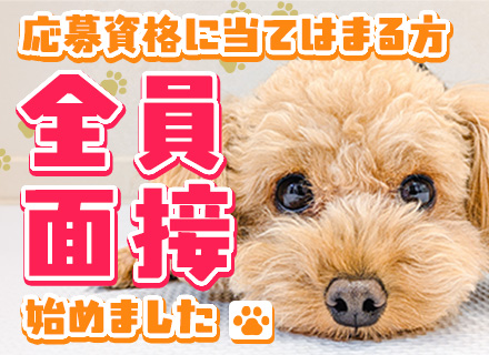 PRスタッフ/未経験・フリーター歓迎/30歳以下限定/残業ほぼ無/面接1回/月給25万円～/有給消化率100％