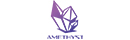 株式会社ＡＭＥＴＨＹＳＴ