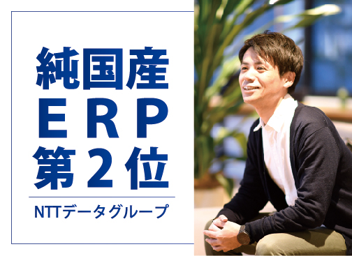 株式会社NTTデータ・ビズインテグラル（NTTデータグループ） 転職