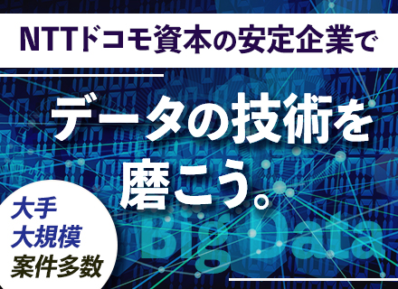 データエンジニア/フレックス/リモート可/1時間単位の時間有休OK/残業月平均10H/設計へのステップUP可