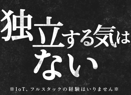 ソフトウェアエンジニア/元請けメイン/IoT、AI、ハード幅広く携わる/リモートメイン/勤務時間は自由