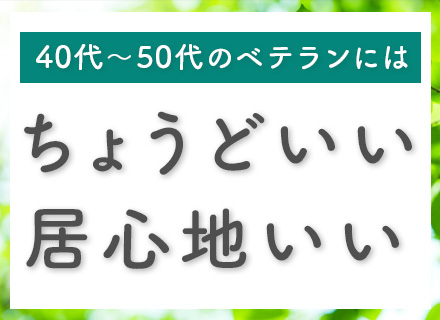 汎用系エンジニア*RPG、COBOL、AS/400*在宅あり*ブランクOK*転職回数不問*残業10h程度