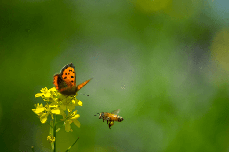 OSTとはどのようなものか