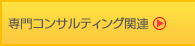専門コンサルティング関連